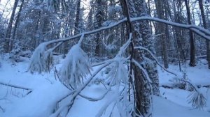 Кутурчинское Белогорье | По пояс в снегу | Выезжий лог - где снимали "Хозяин тайги" с В.Высотским