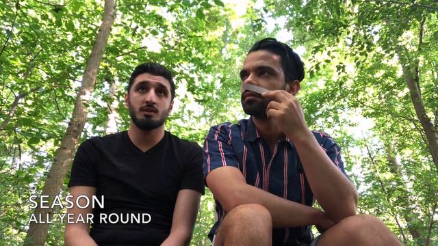 Parfums De Marly’s best fragrances #layton #pegasus #carlisle #fragrance #parfumsdemarly смотреть онлайн