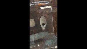 история Алтайского края и города Барнаула