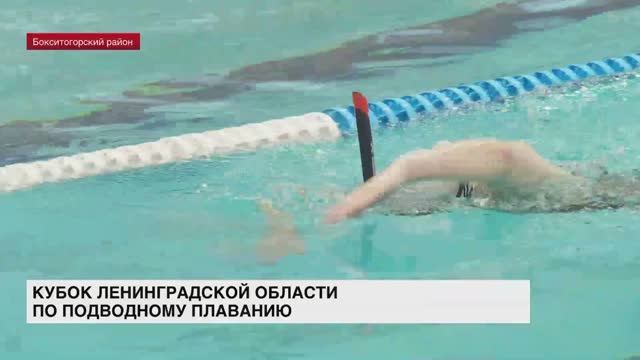 В Пикалево прошел Кубок Ленинградской области по подводному плаванию