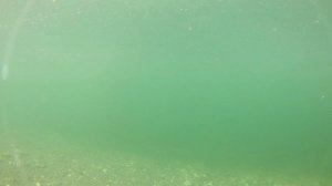 Игра приманки под водой. Smith Camion Magnum SSR