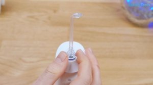 Panasonic EW1511 Water Flosser Review