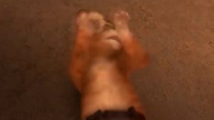 Кот из шрэка (Кот в сапогах три чертенка)