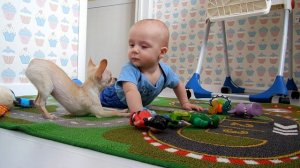 VLOG: Маленький Саша и моя сестра у нас в гостях / Пилот играет с Сашей / Готовим кушать