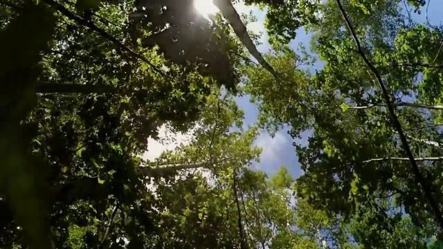 Ночь проходит ,а я у порога - Галина гармонист самоучка