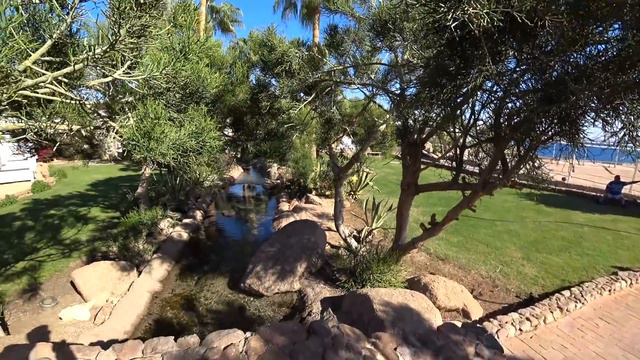 ЕГИПЕТ 2020. ДЕНЬ В DOMINA CORAL BAY. ШАРМ ЭЛЬ ШЕЙХ. смотреть онлайн