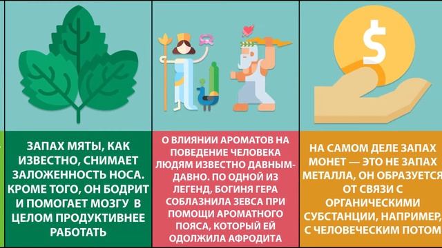20 удивительных фактов о запахах. Как работает наше обоняние?