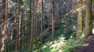 Озеро Любви | или как Архыз покорил наши сердца