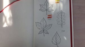 Как нарисовать листья.