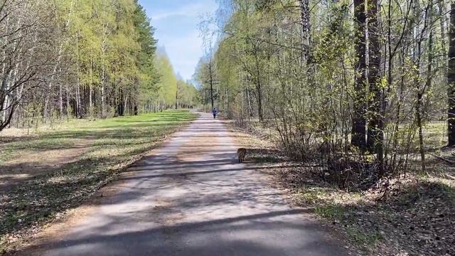 VLOG: ПЕРЕПУТАЛИ ЯЙЦА /Выбираем ШТОРЫ с МАМОЙ/ МУЖ РУГАЕТ за ПОКУПКИ
