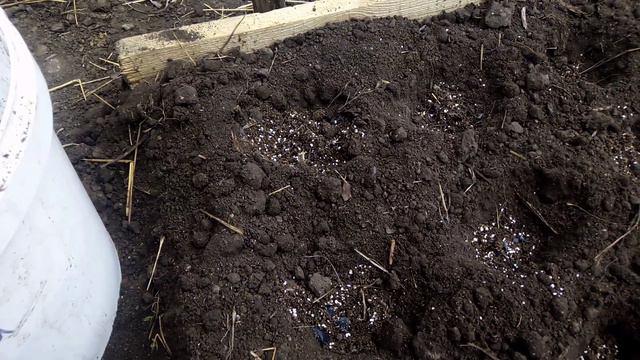 Не нужно подкармливать чеснок после посадки. смотреть онлайн