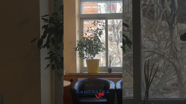 ЗЕМЛЕТРЯСЕНИЕ НА КАМЧАТКЕ 03.04.2023 3