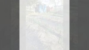 Узкие грядки.  Планирование