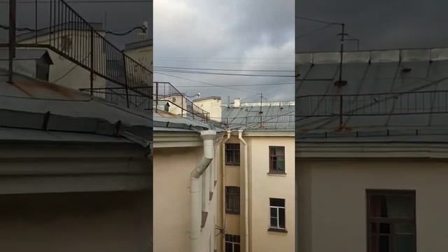 Penny Lane Realty | лот | Аренда квартиры по адресу: г. Санкт-Петербург, смотреть онлайн