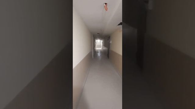 Продается квартира-студия, 23.1 кв.м, с предчистовой отделкой смотреть онлайн