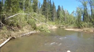 Открытие сезона 2020 / Солар 470 стрела против TOHATSU 50 jet