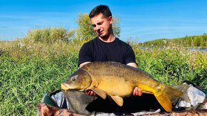 Рыбалка на карпа в завоз.Рыба активно питается осенью.