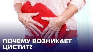 Почему возникает ЦИСТИТ и как его вылечить