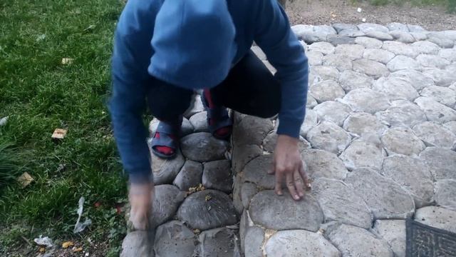 Тротуарная плитка своими руками.
