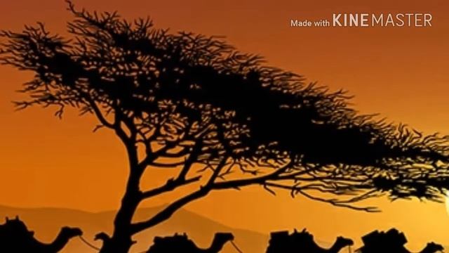 леди баг и супер кот восточные сказки смотреть онлайн