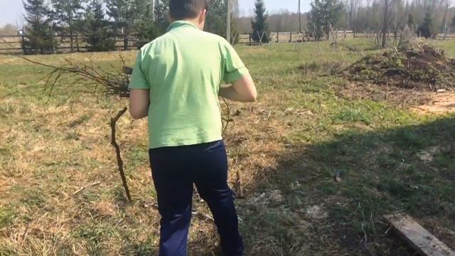 Субботник в Грибаново | ANESTI | ВЛОГ
