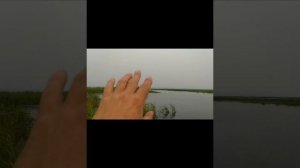 Диалоги о рыбалке. Дельта реки Селенга. Кудара.