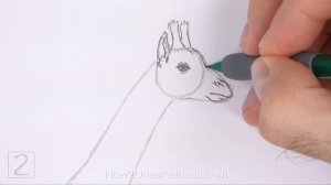 How to Draw a Giraffe