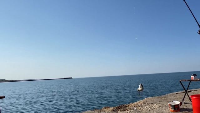 КлЁвые выходные на БЕЛЯУСЕ. Все о рыбалке здесь! #крым #беляус смотреть онлайн