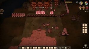 Лучшие Фермы Ресурсов На Катапультах Вайноны в Don't Starve Together