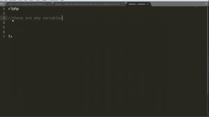 Php Variables Tutorial Php for beginners