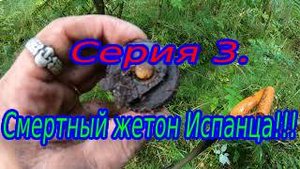 Шокирующая находка-смертный жетон испанца!По выбитым местам!!!.