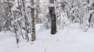 Скала Кораблик. Поселок Синегорский. Нижний Тагил. Рассказываем как дойти