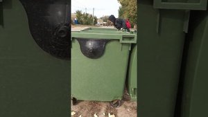ПОМОЕЧКА КОРМИТ