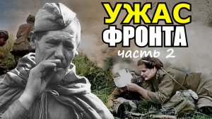 Ужас Ленинградского фронта Бои в Погостье, как такое можно пережить?! Воспоминания о войне Часть 2