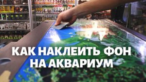 Как правильно наклеить фон