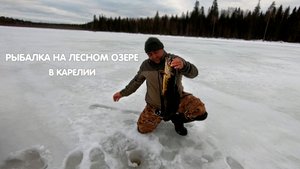 2 я поездка на лесное озеро в Карелии день 1