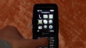 ОНЛАЙН ТРЕЙД.РУ Мобильный телефон SENSEIT P101 черный