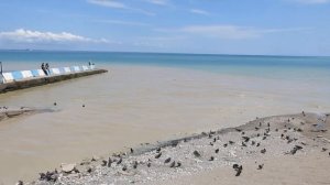 В Феодосии после ливня канализация стекает в море