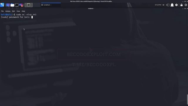 Manual Webmin 1.920 exploit | CVE-2019-15107 | Crontab |#Desafio02 Beco do Exploit #VM17 - Nezuko1 смотреть онлайн