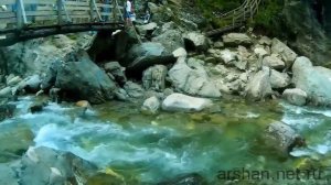 Отдых на Аршане летом 2018 | Жемчуг Вышка arshan.net.ru