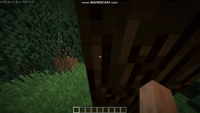 Что делать если заплутал в лесу смотреть онлайн