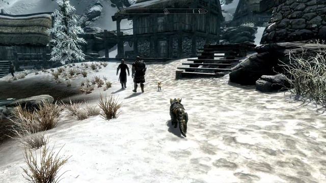 SKYRIM MOD Dogs of the Jarls (and Repopulate Skyrim with New Dogs) смотреть онлайн