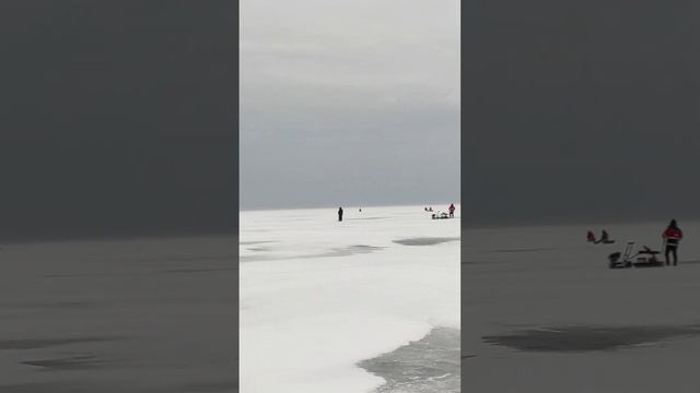 18.02.23. Рыбалка на Ладожском озере. Леднево, Кобона, Чёрное. Рыбалка на окуня. #shorts