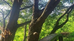 Число души 3 Юпитер