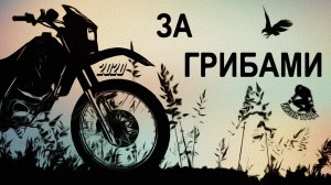 За грибами (Кизел. Владимировка. 2020-й год)