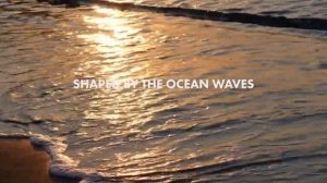 Will Be Forgetting This | Elias Naslin [Lyrics]