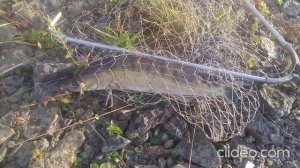 Волчихинское водохранилище. Шестая серия. Остров Коровий. Утренняя рыбалка.