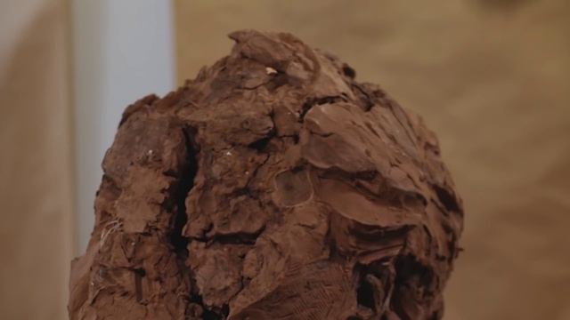 Худший подарок на Рождество: дело Алексиса Вальдеса / МАРАФОН ИСТОРИЙ №11