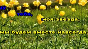 Басков - Натуральный блондин(-,бэк) (караоке)