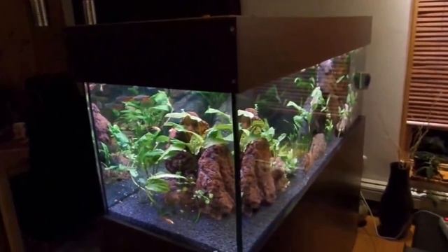 Аквариум растения Лава LavaDeco Art смотреть онлайн